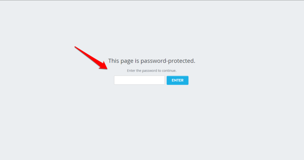 Password Protecting Your Site - Can I Hide My Site WordPress While Editing